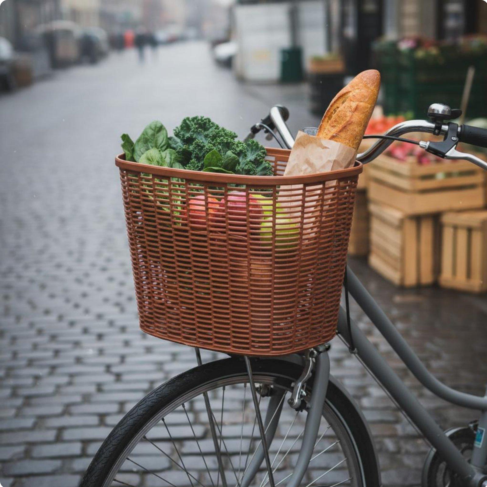 Keranjang Sepeda Luas, Dipasan - Cycling Commute Essentials ulasan dan harga